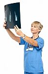 Orthopedic Surgeon Holding Up X-ray To Analyze Stock Photo