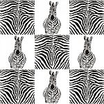 Pattern Zebras For Textiles Stock Photo