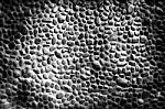 Pebble Wall Texture Stock Photo