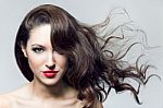 Photo Of Beautiful Woman With Magnificent Hair Stock Photo