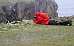 Photographing Puffins Stock Photo