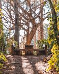 Picnic Table In The Middle Of A Forest Stock Photo