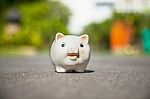 Piggy Bank Stock Photo