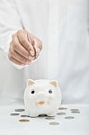 Piggy Bank Stock Photo