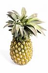 Pineapple Stock Photo