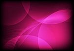 Pink Abstract Backgrounds Stock Photo