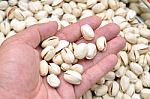 Pistachio Nuts Stock Photo