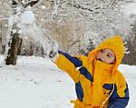 Playing In The Snow Stock Photo