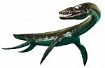 Plesiosaurus Stock Photo