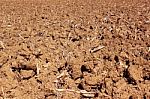 Plowed Land Stock Photo