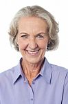 Portrai Of A Smiling Aged Lady Stock Photo