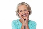Portrait Of A Happy Senior Citizen Stock Photo