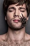 Portrait Of A Young Handsome Man With Spider On His Face Stock Photo