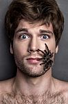 Portrait Of A Young Handsome Man With Spider On His Face Stock Photo