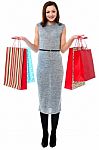 Portrait Of A Young Shopaholic Woman Stock Photo