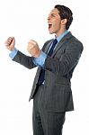 Portrait Of An Excited Businessman Stock Photo