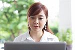 Portrait Of Thai Adult Businesswoman Beautiful Girl Using Computer Notebook Stock Photo