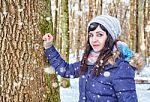 Portrait Of Young Beautiful Woman Walking In The Woods Stock Photo