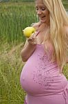 Pregnant Woman Holding Apple Stock Photo