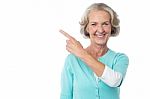 Pretty Aged Woman Pointing At Something Stock Photo