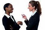 Pretty Businesswomen Discussing Stock Photo