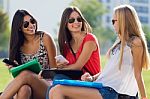 Pretty Student Girls Having Fun At The Campus Stock Photo