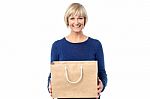 Pretty Woman Holding Shopping Bag Stock Photo