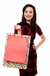 Pretty Woman With Shopping Bags Stock Photo