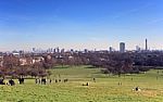 Primrose Hill Stock Photo