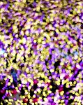 Purple, Pink And Yellow Bokeh On Dark Background Stock Photo