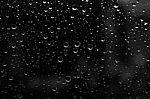 Rain Drop Stock Photo