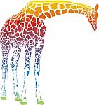 Rainbow Giraffe Stock Photo