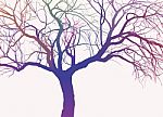 Rainbow Tree Stock Photo