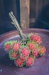 Rambutan On Wood Stock Photo