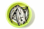 Raw Short Mackerel Fish Stock Photo