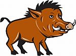 Razorback Side Cartoon Stock Photo