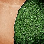 Recycled Paper On Grass Stock Photo