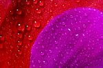 Red And Violet Texture Stock Photo