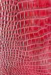 Red Crocodile Leather Texture  Background Stock Photo