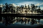 Reflection Of The Tree In Lake Stock Photo