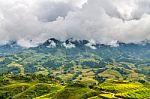 Rice Fields And Mountains In The Clouds Stock Photo