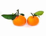 Ripe Orange Stock Photo