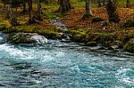 River In A Forest Stock Photo