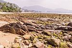 Rock Exposed When Low Tide Background, Kalim Bay, Phuket, Thaila Stock Photo