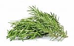 Rosemary Isolated On The White Background Stock Photo