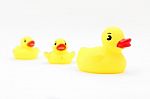 Rubber Ducks Stock Photo