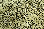 Safari Style Fabric Stock Photo