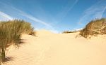 Sand Dune With Ripples And Grass Stock Photo