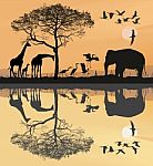 Savana With Giraffes, Herons And Elephant Stock Photo