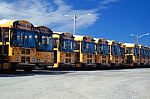 School Bus Stock Photo